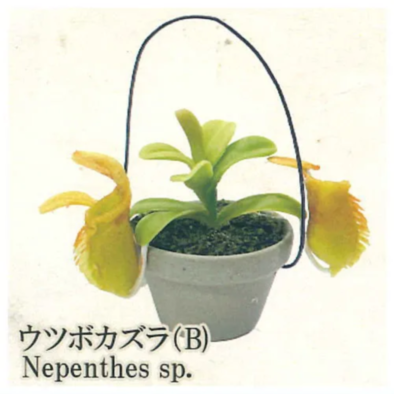 Japan Rainbow Gashapon Capsule - огляд і ціна Capsule Toy Gashapon