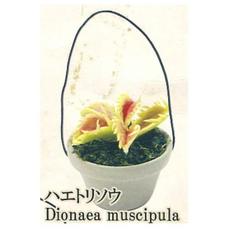 Japan Rainbow Gashapon Capsule - огляд і ціна Capsule Toy Gashapon
