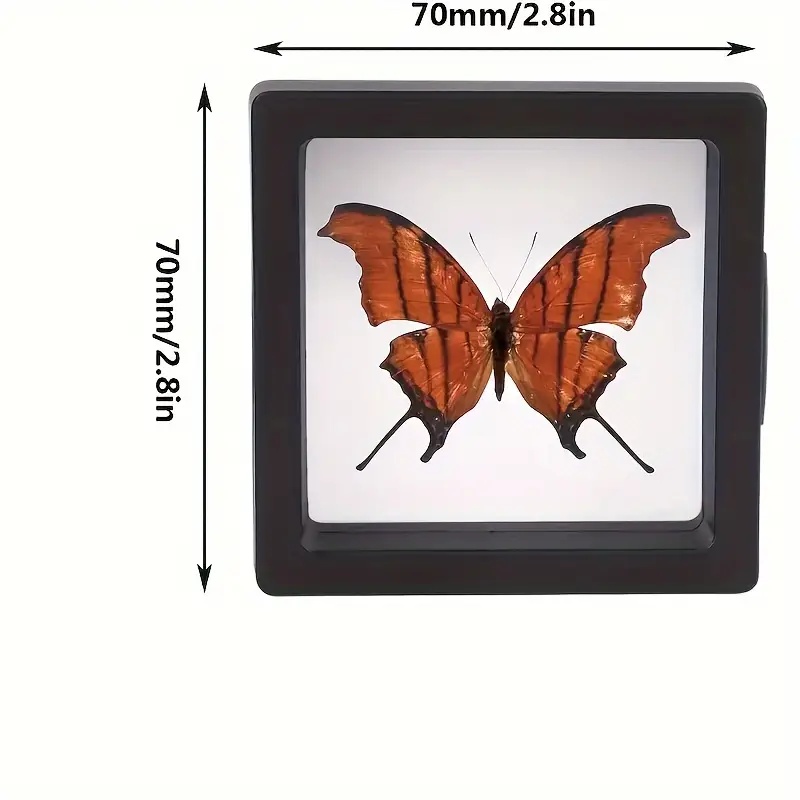 20Pcs Clearview 3D Floating Di - огляд і ціна Display Case Acrylic
